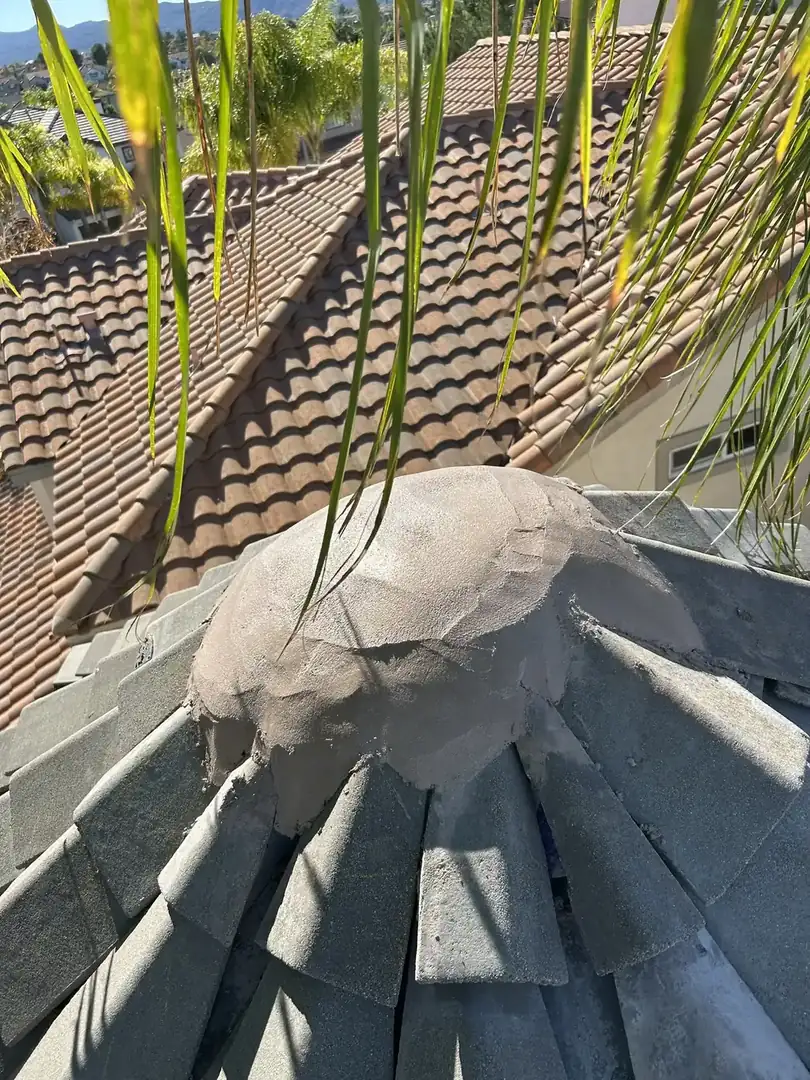 Commercial roof inspection and repair