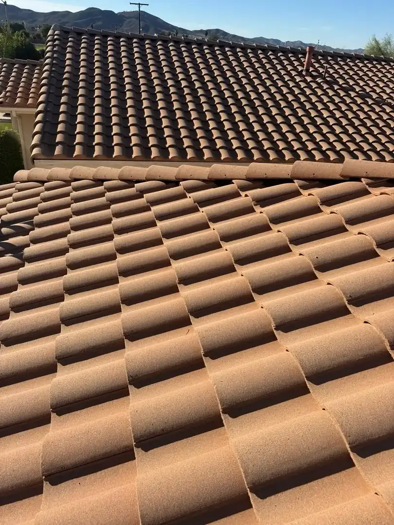 Tile roof tune-up and debris removal